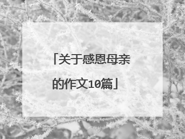 关于感恩母亲的作文10篇