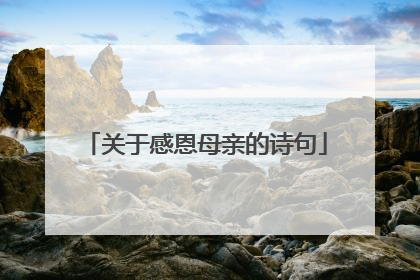 关于感恩母亲的诗句