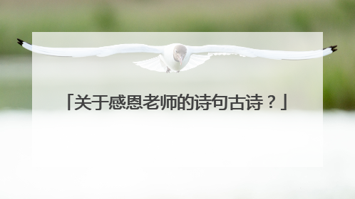 关于感恩老师的诗句古诗?