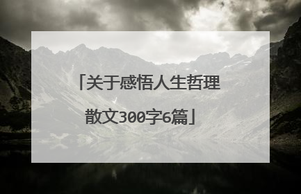 关于感悟人生哲理散文300字6篇