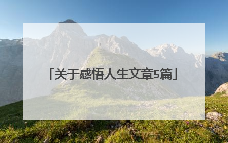 关于感悟人生文章5篇