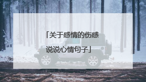 关于感情的伤感说说心情句子