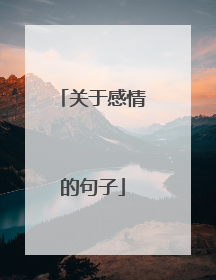 关于感情的句子