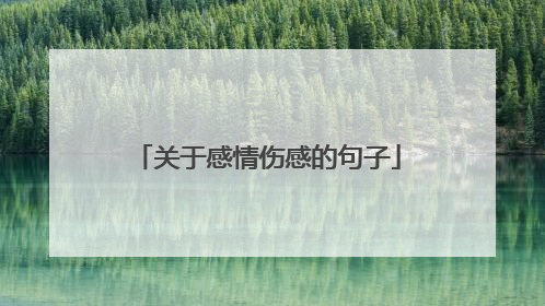 关于感情伤感的句子