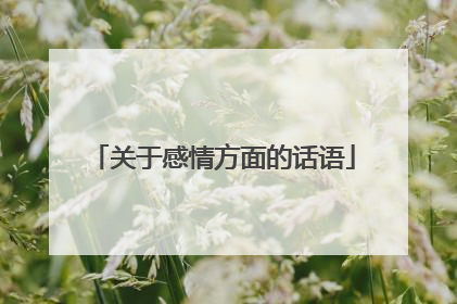 关于感情方面的话语