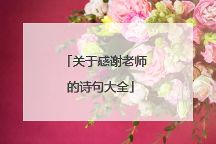 关于感谢老师的诗句大全