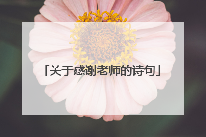 关于感谢老师的诗句
