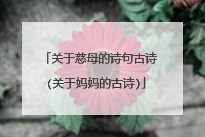 关于慈母的诗句古诗(关于妈妈的古诗)