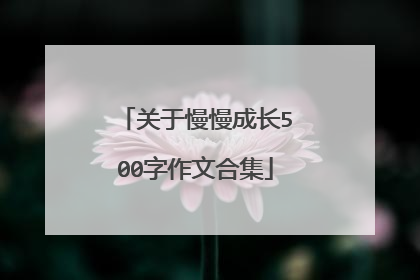 关于慢慢成长500字作文合集