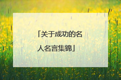 关于成功的名人名言集锦