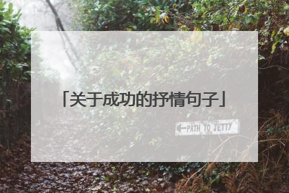 关于成功的抒情句子