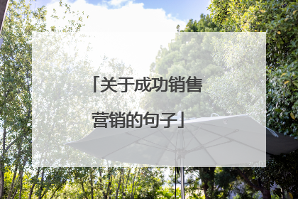 关于成功销售营销的句子