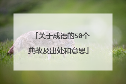 关于成语的50个典故及出处和意思