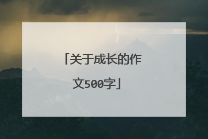关于成长的作文500字