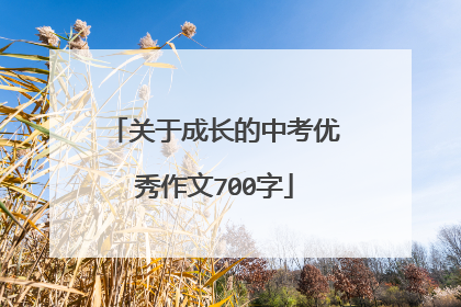 关于成长的中考优秀作文700字