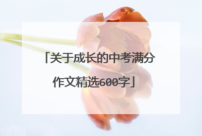 关于成长的中考满分作文精选600字