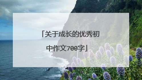 关于成长的优秀初中作文700字