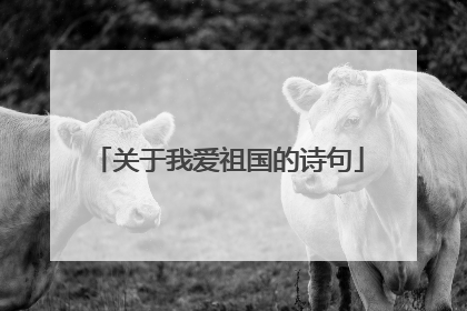 关于我爱祖国的诗句