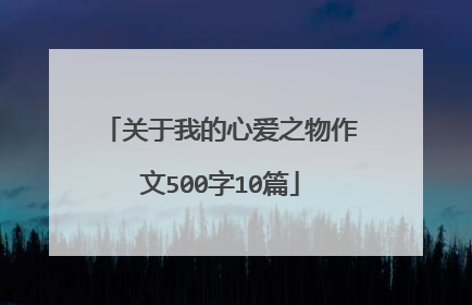 关于我的心爱之物作文500字10篇