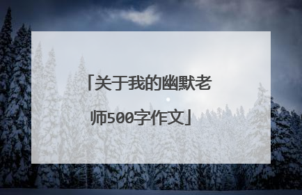 关于我的幽默老师500字作文