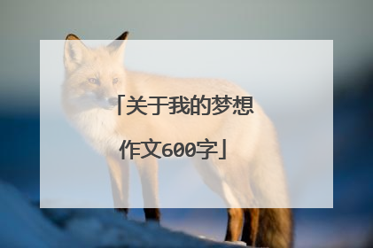 关于我的梦想作文600字