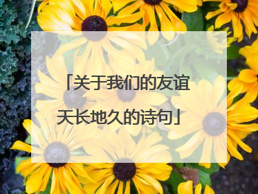 关于我们的友谊天长地久的诗句