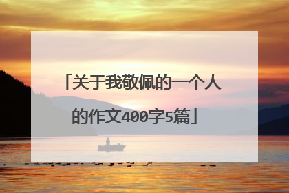 关于我敬佩的一个人的作文400字5篇