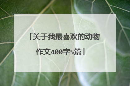 关于我最喜欢的动物作文400字5篇