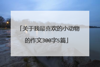 关于我最喜欢的小动物的作文300字5篇
