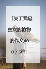 关于我最喜欢的植物的作文400字5篇