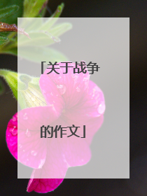 关于战争的作文