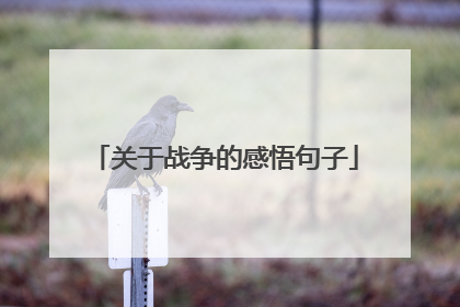 关于战争的感悟句子