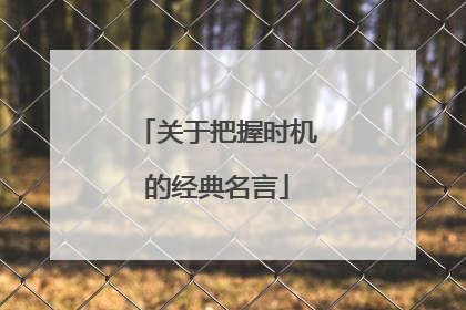 关于把握时机的经典名言