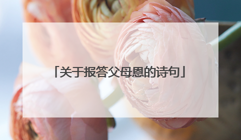 关于报答父母恩的诗句