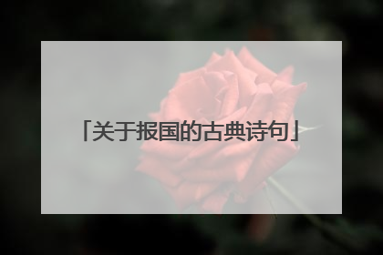 关于报国的古典诗句
