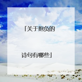 关于抱负的诗句有哪些