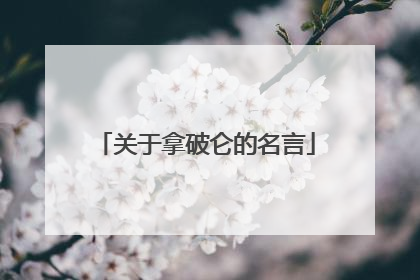 关于拿破仑的名言