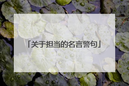 关于担当的名言警句