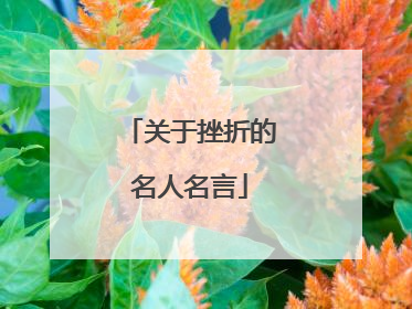 关于挫折的名人名言