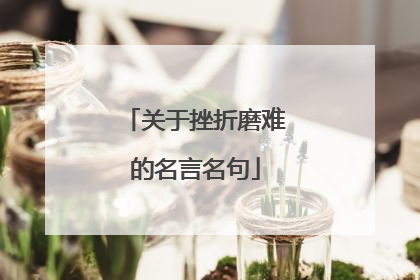 关于挫折磨难的名言名句