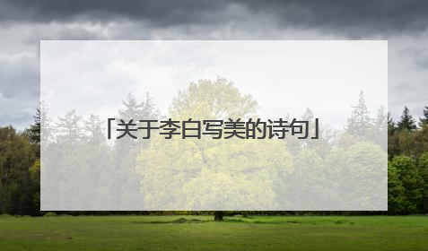 关于李白写美的诗句