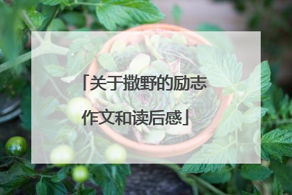 关于撒野的励志作文和读后感