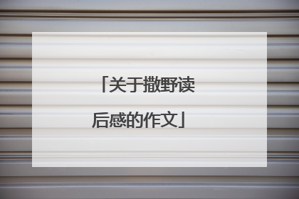 关于撒野读后感的作文