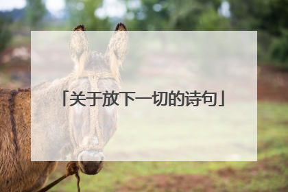 关于放下一切的诗句