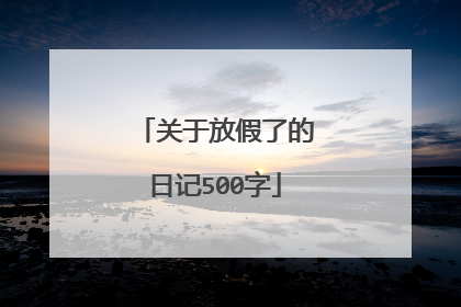 关于放假了的日记500字