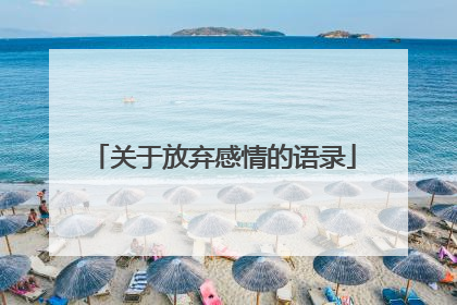 关于放弃感情的语录