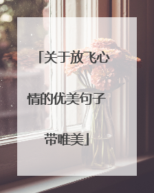 关于放飞心情的优美句子带唯美