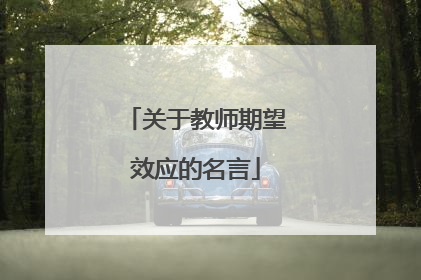 关于教师期望效应的名言