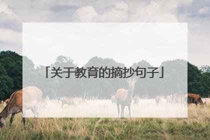 关于教育的摘抄句子