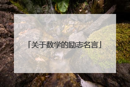 关于数学的励志名言